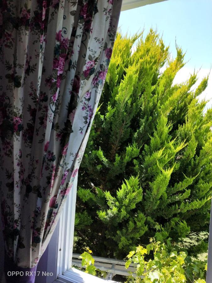 Maviev Otel Çeşme Luaran gambar